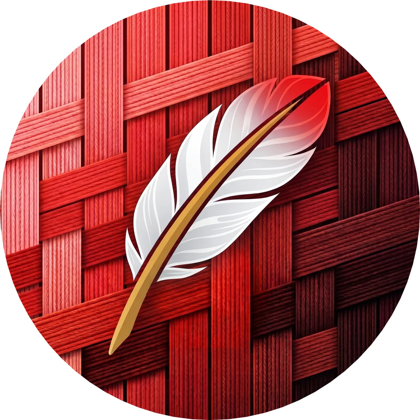 CelSuite logo